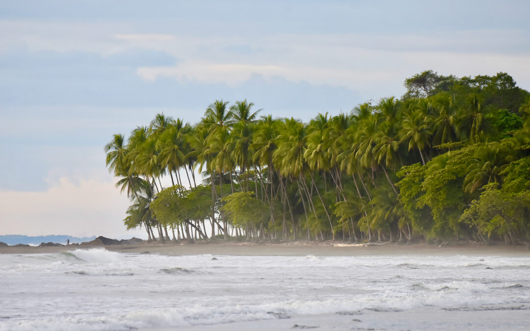 Costa Rica: itinerario di 12 giorni al motto di PURAVIDA.